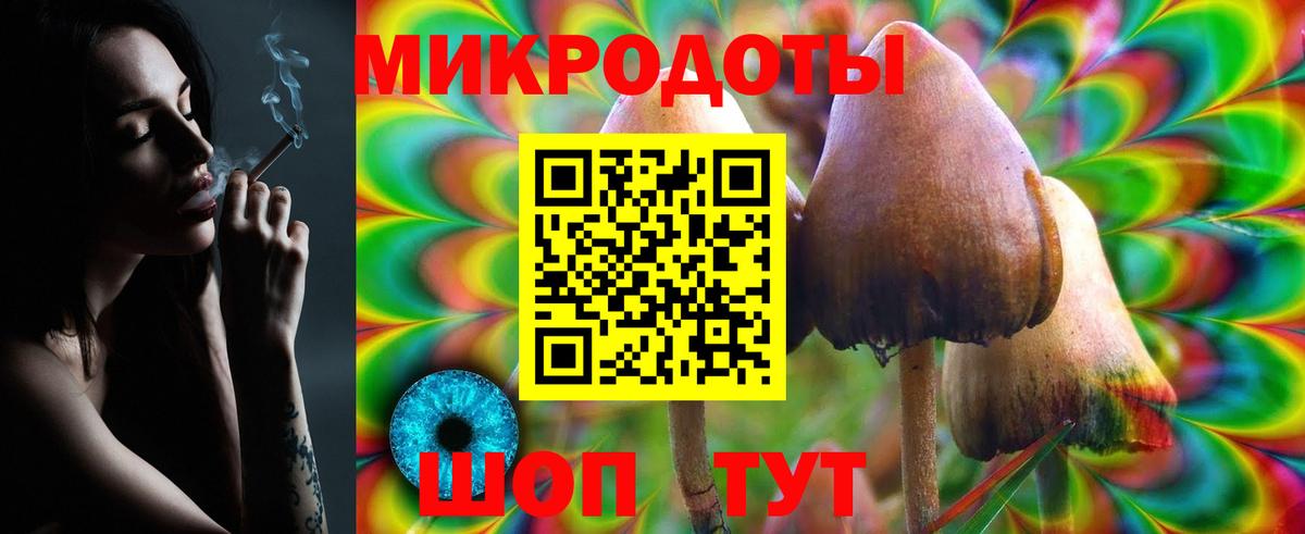 Зерноград  Галлюциногенные грибы Magic Shrooms  Псилоцибиновые грибы прущие грибы  Вход с VPN 